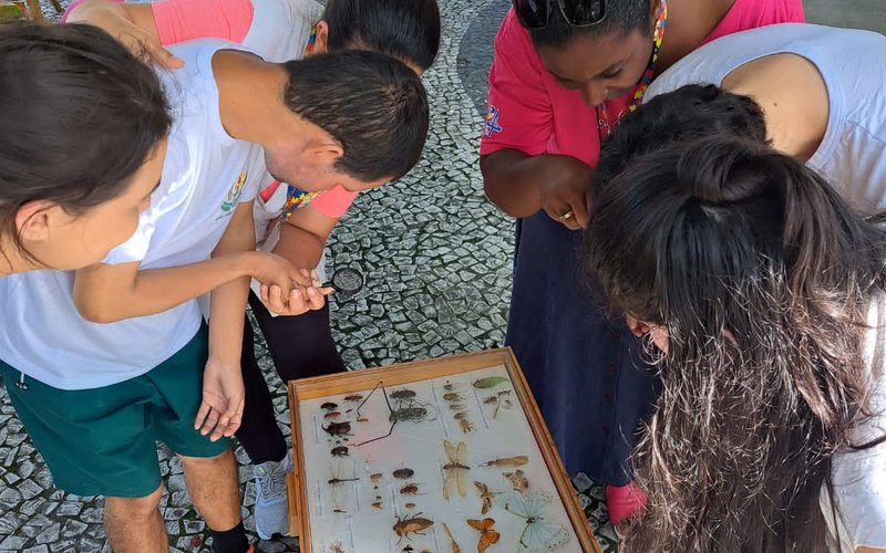 2023-11-20 - BIGUAÇU - OBSERVATÓRIO (4)