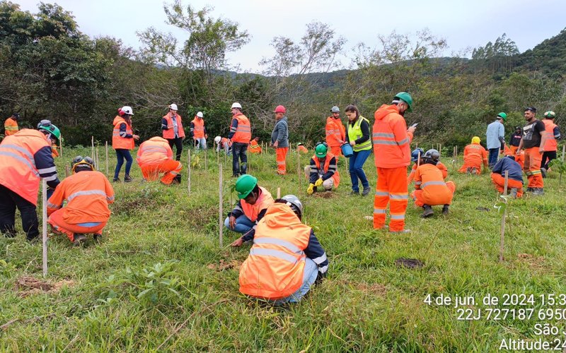 2024-06-04 - 35º CAMPANHA DO PEAT - PLANTIO DE MUDAS (3)