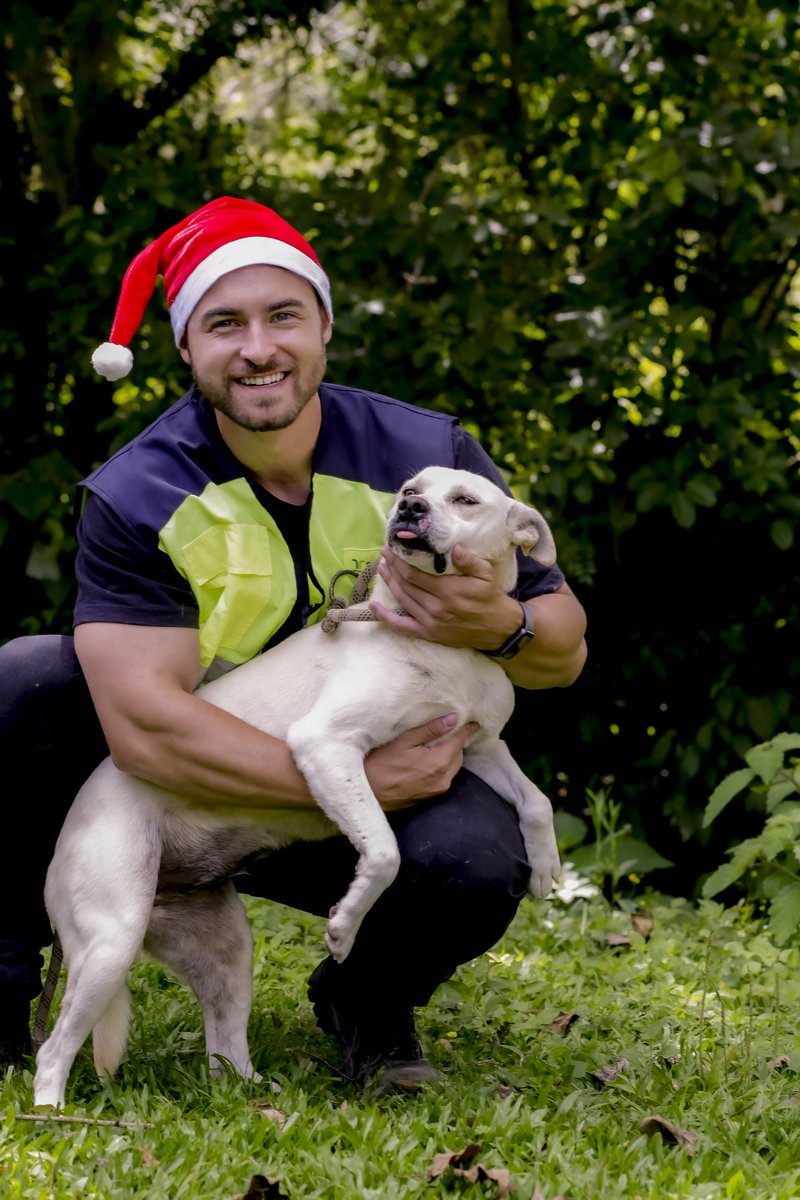 Arteris-AcaoCanina - 0238