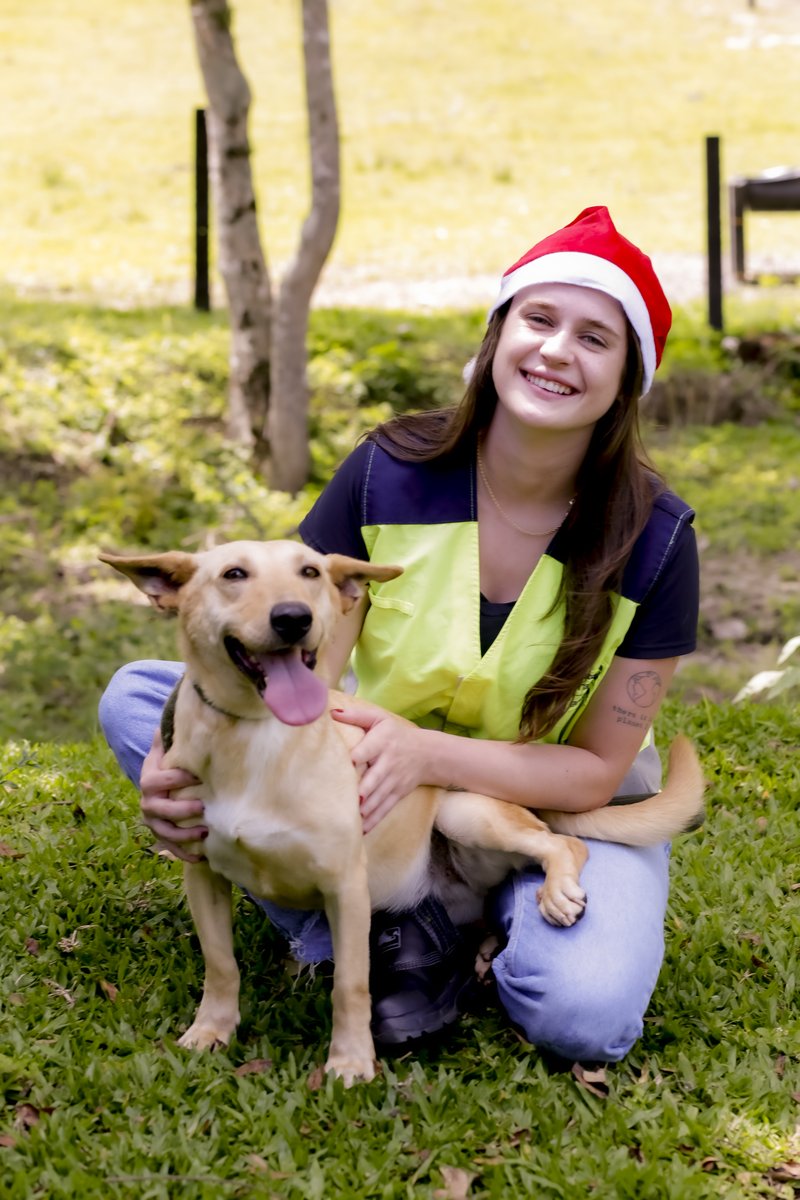 Arteris-AcaoCanina - 0383