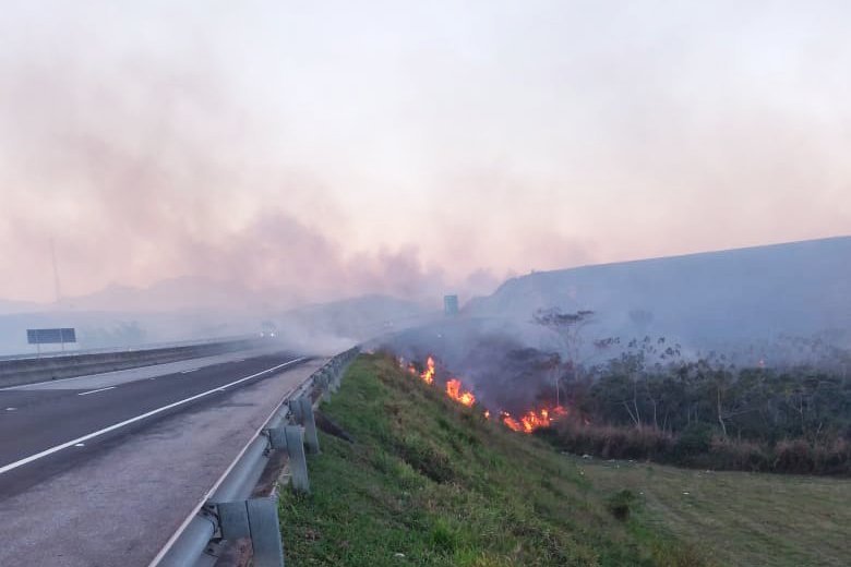 ArterisFL_IncendioVegetação (1)